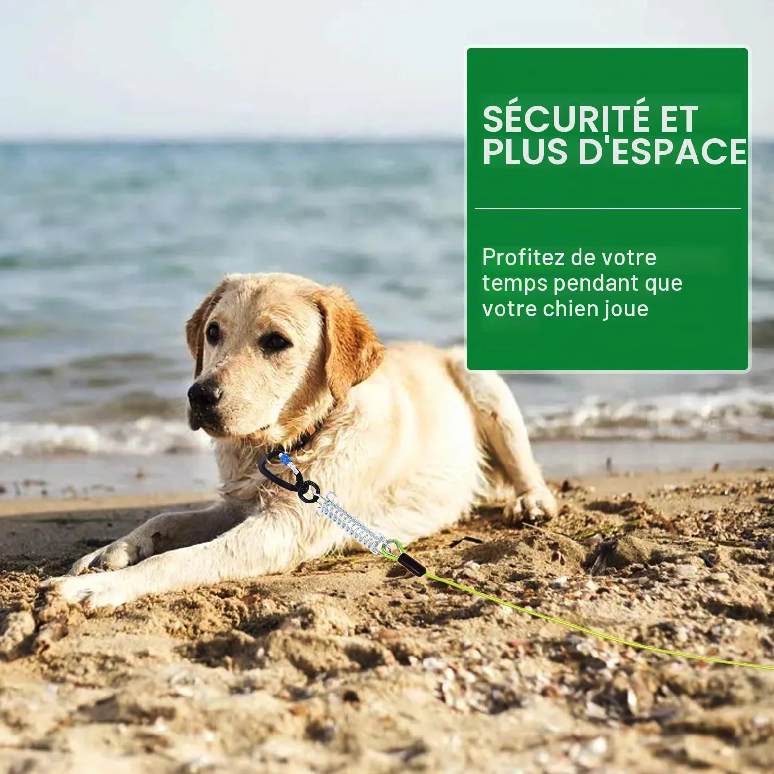 Hofleine Câble industriel en acier inoxydable 9M pour grands chiens avec tampon à ressort laisse extra longue étanche testé TÜV