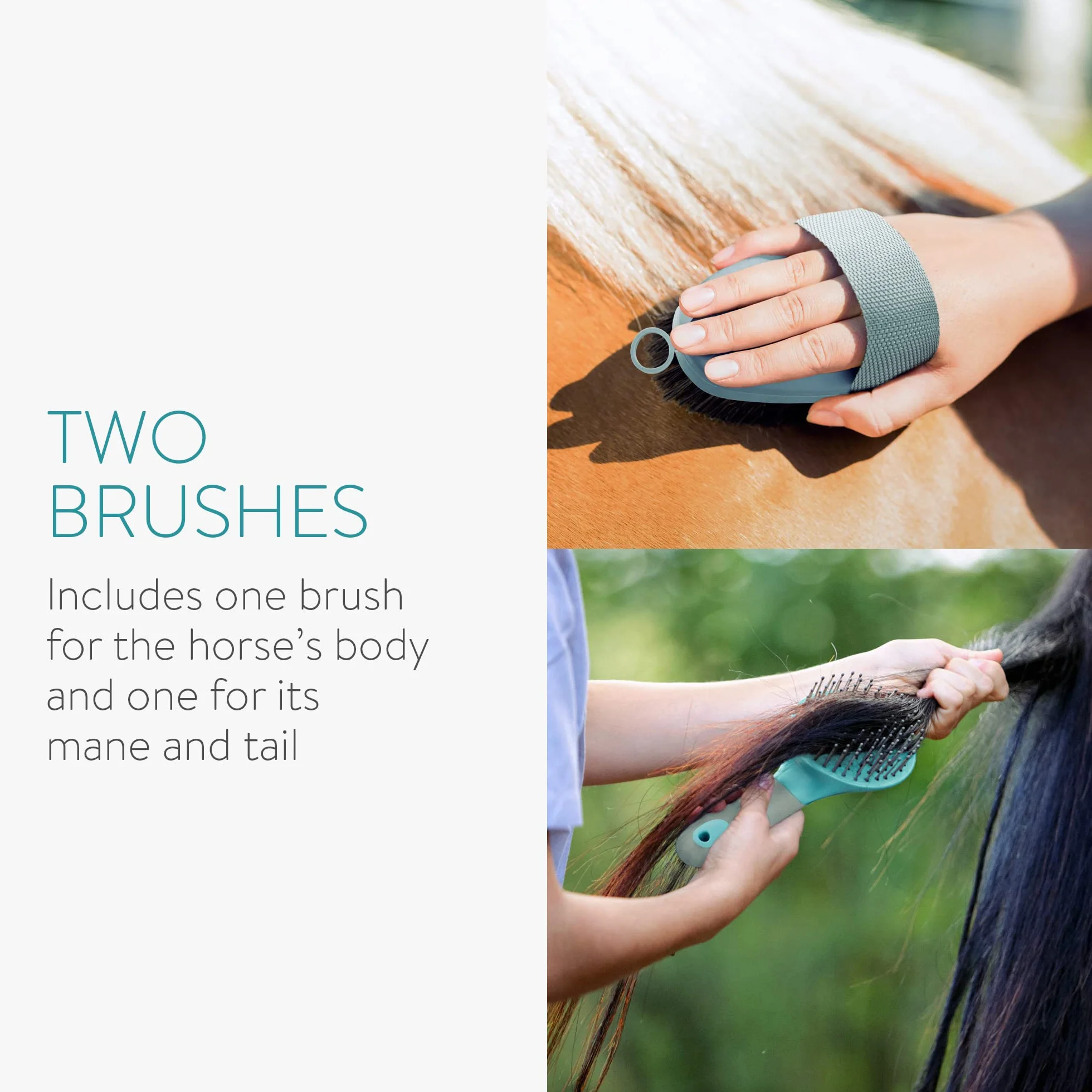 Navaris Brosse Cheval équitation - Kit 2X Brosse de pansage pour crinière Corps Queue - Accessoires démêlage Soin Chevaux