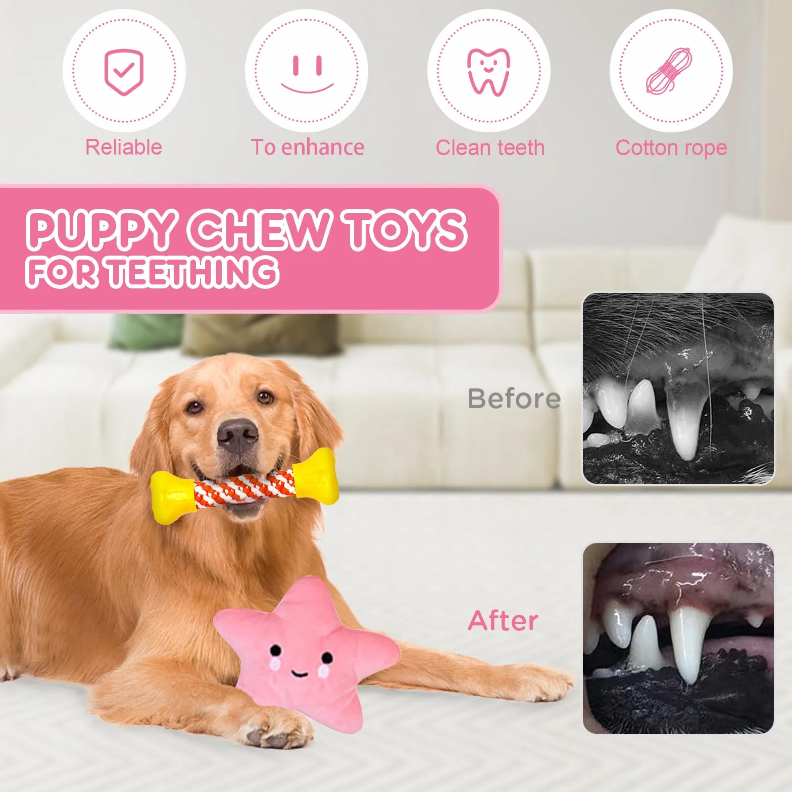Ensemble de 20 Jouets pour Chien - Corde à Mâcher, Balle Interactive - Pour Grands, Moyens et Petits Chiens