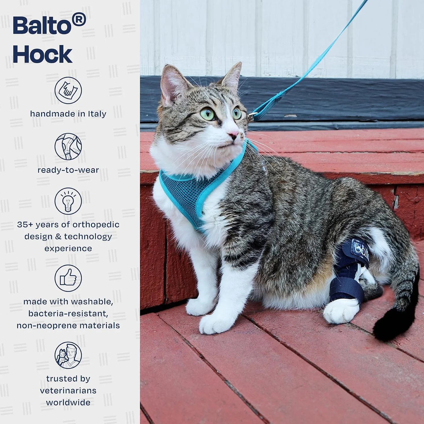 Balto Attelle de cheville pour chat – Attelle aluminium – Support post-chirurgie arthrite – Taille XS