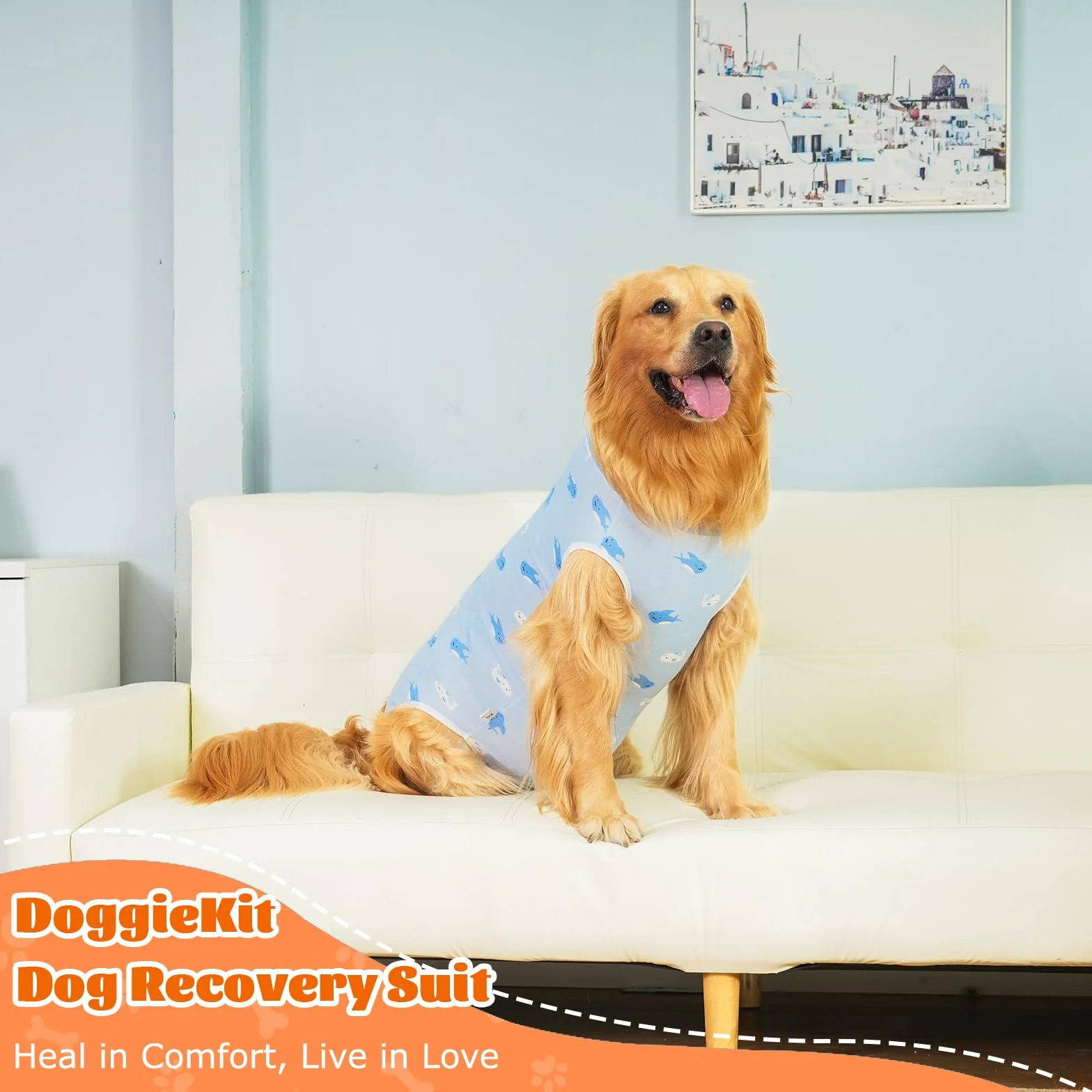 Combinaison de Récupération pour Chiens après Chirurgie, Body Chirurgical Chien Femelle Mâle, Protection Post Opératoire (Blue-Baleine, XL)