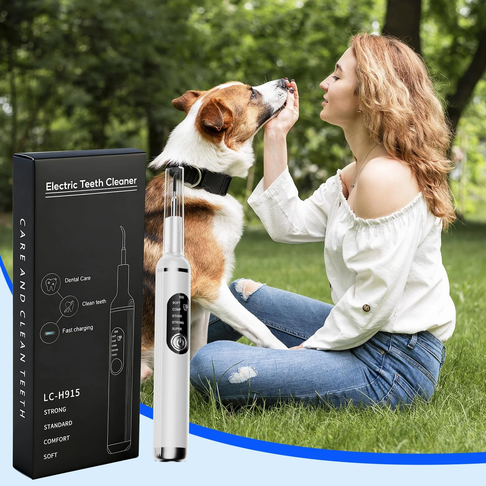 Kit de Nettoyage Tartre Dentaire à Ultrasons pour Chien et Chat, Detartreur Dentaire Ultrason, 5 Modes et 4 Têtes