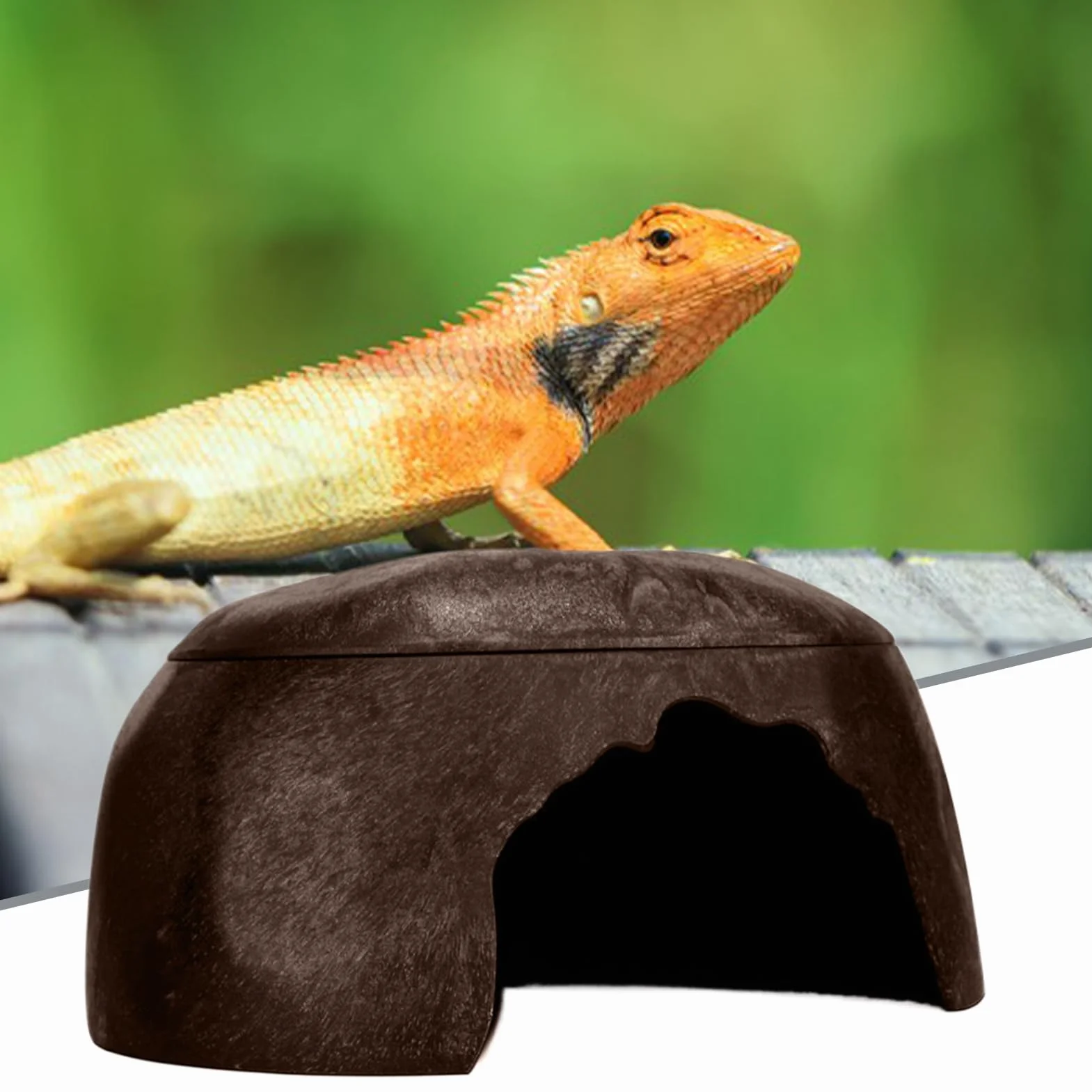 Cachette pour Reptiles, Abri pour Grenouilles, Lézard avec 3 Éviers pour Gecko, Barbu, Dragon