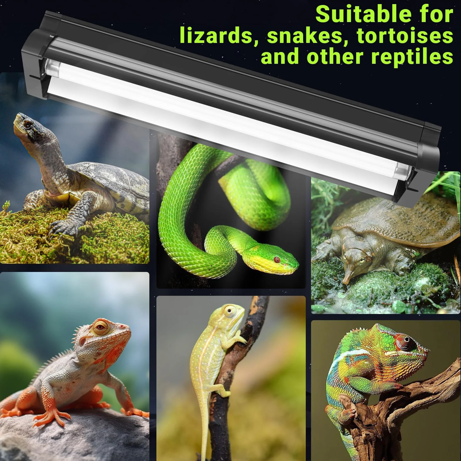 Kit Lumière UVB T5 8W pour Reptiles, 10% UVB & 30% UVA, Fixture 31,5 cm avec Tube UVB T5 10.0