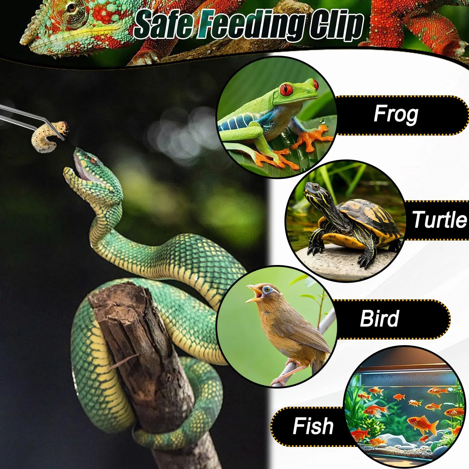 Pinces d'alimentation pour Reptiles 27 cm Pince Aquarium Protège Les Doigts Brucelle Argent