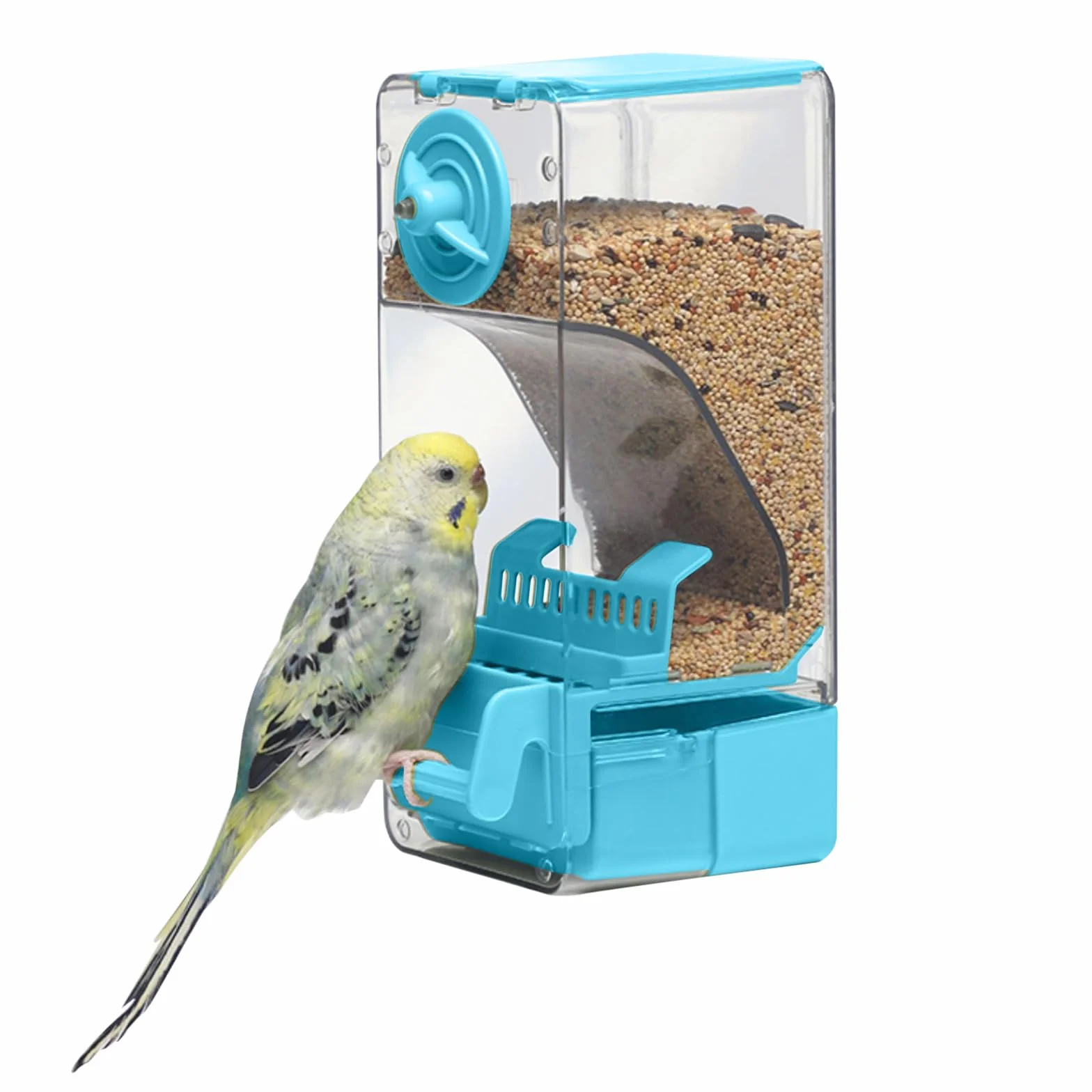 Mangeoire Automatique pour Oiseaux avec Perruche Canari Calopsitte Pinson