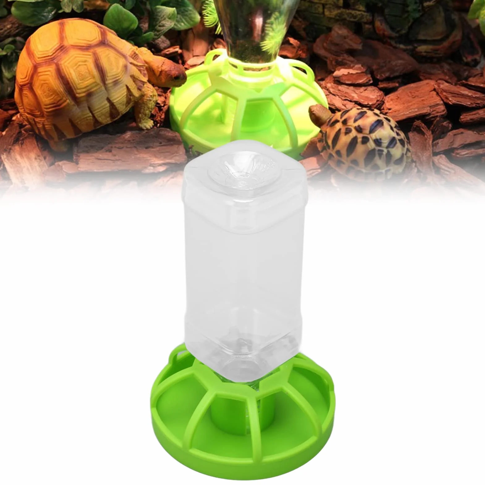 Distributeur d'eau de Reptile pour Tortue Lézard, Mangeoires Automatiques, Bol d'eau Grand