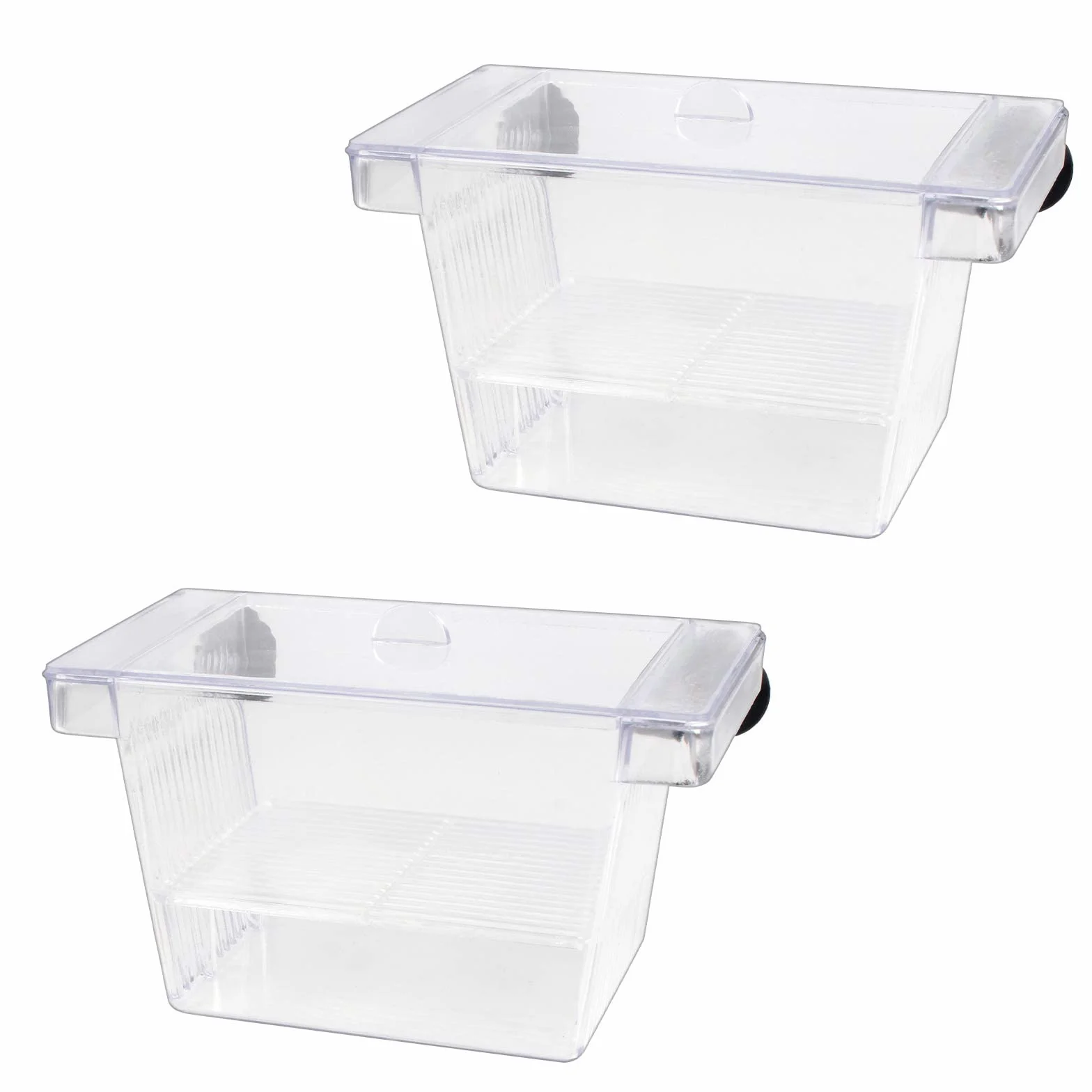 Pondoir Aquarium Plastique Bassin d'élevage Boîte d'Incubateur avec Ventouse