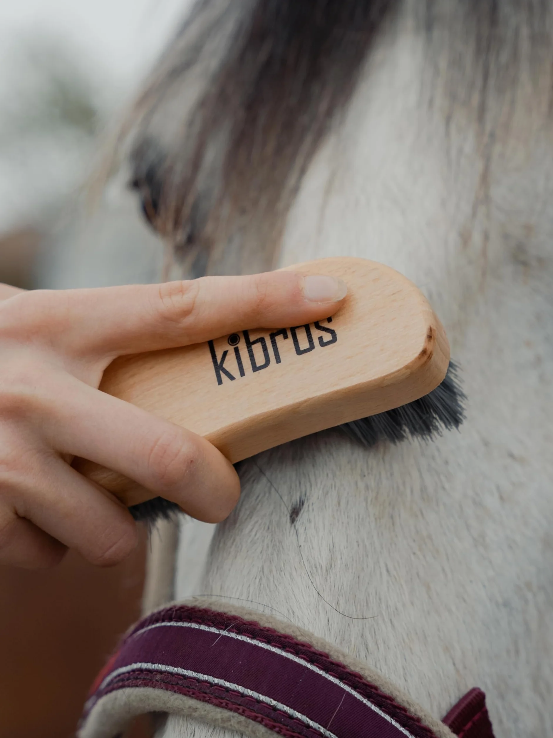 Kibros EQUITLOT6 Kit Complet pansage Cheval 6 brosses équitation Haut de Gamme