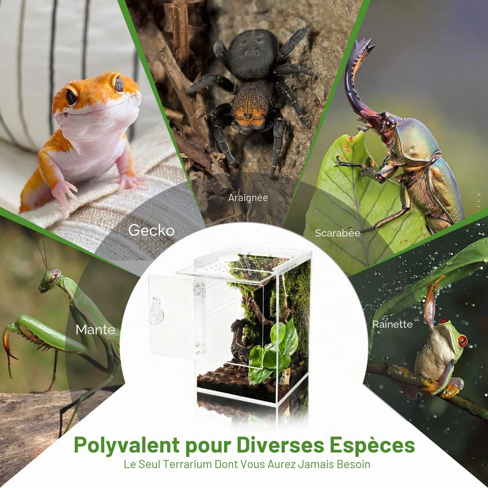 Terrarium Acrylique 23x15x15CM Rectangle 360° Ventilation Croisée Etanche pour Reptiles Araignée Escargots