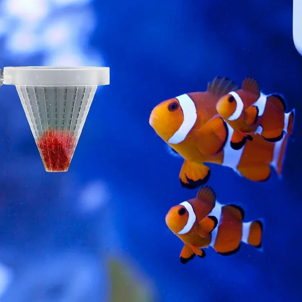 DONGKER Aquarium Cone Feeder avec Ventouse pour Poissons
