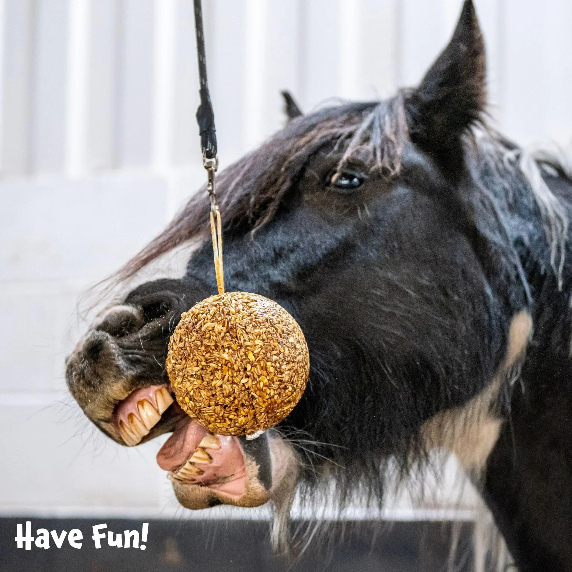 Likit Granola Stall-Ball Friandises pour cheval 1,6 kg pomme baies mélangées menthe poivrée mélasse anti-stress