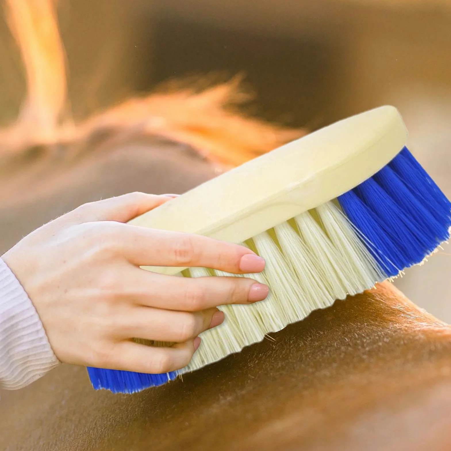 Brosse Bouchon pour Cheval - Outil de Pansage à Poils Durs pour Bétail et Équins
