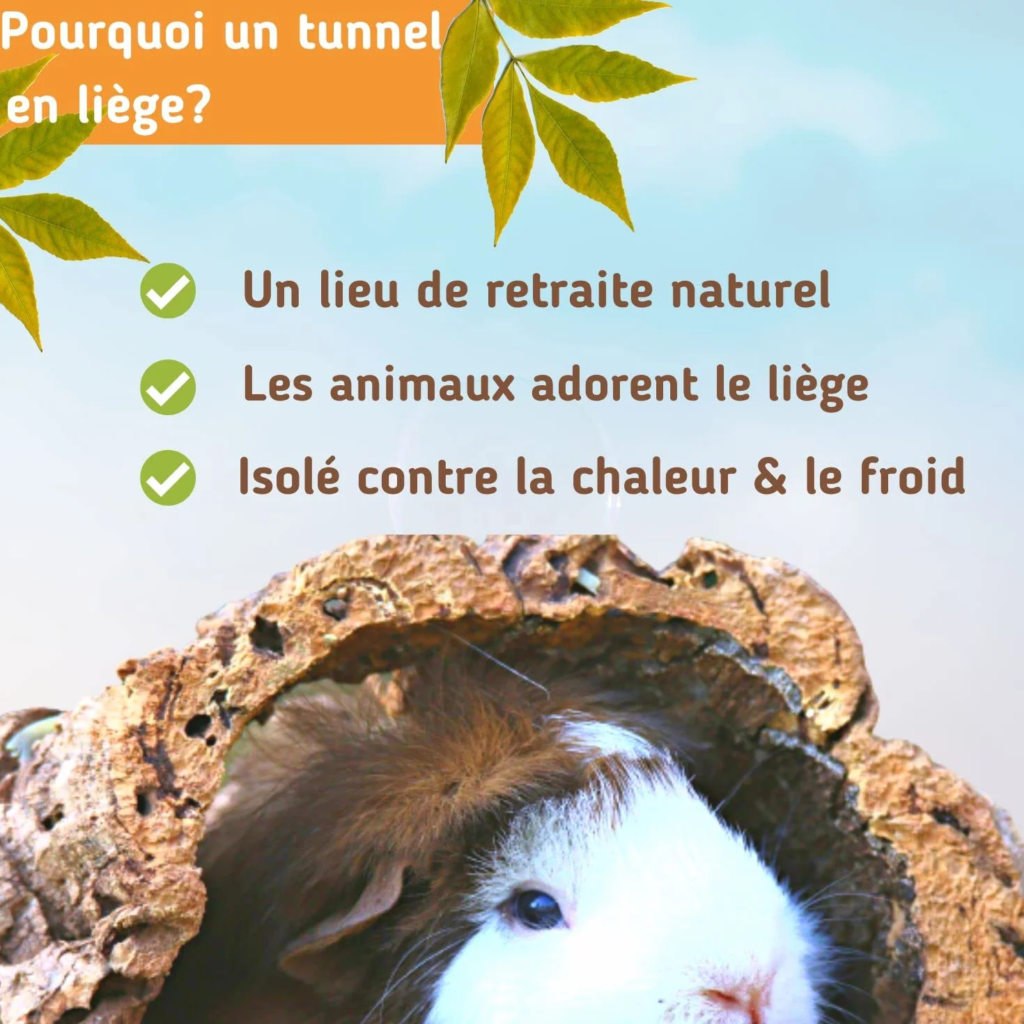 Tunnel en liège pur 20 cm x 15 cm décoration terrarium