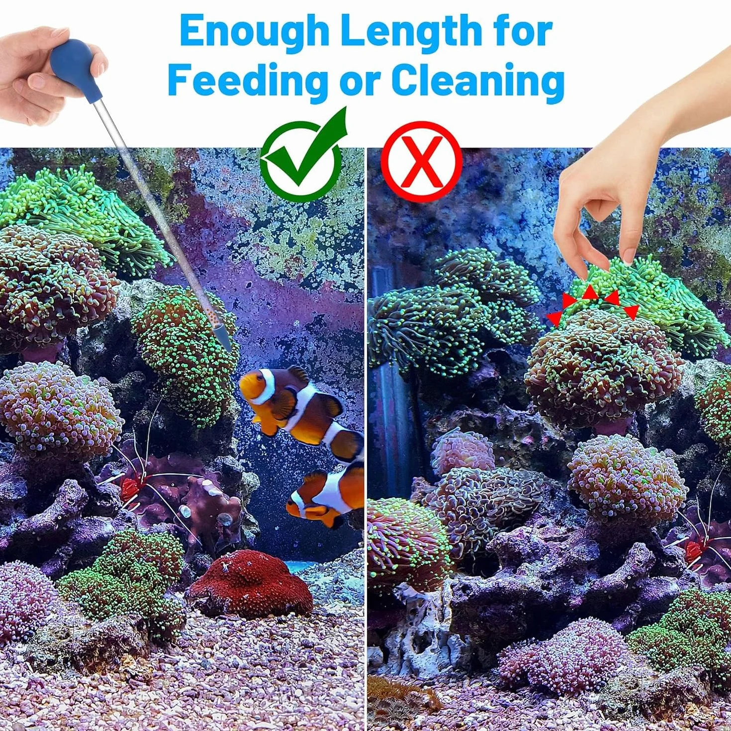 JOYOLA Mangeoire à Corail Pipette Multifonctionnelle pour Aquarium