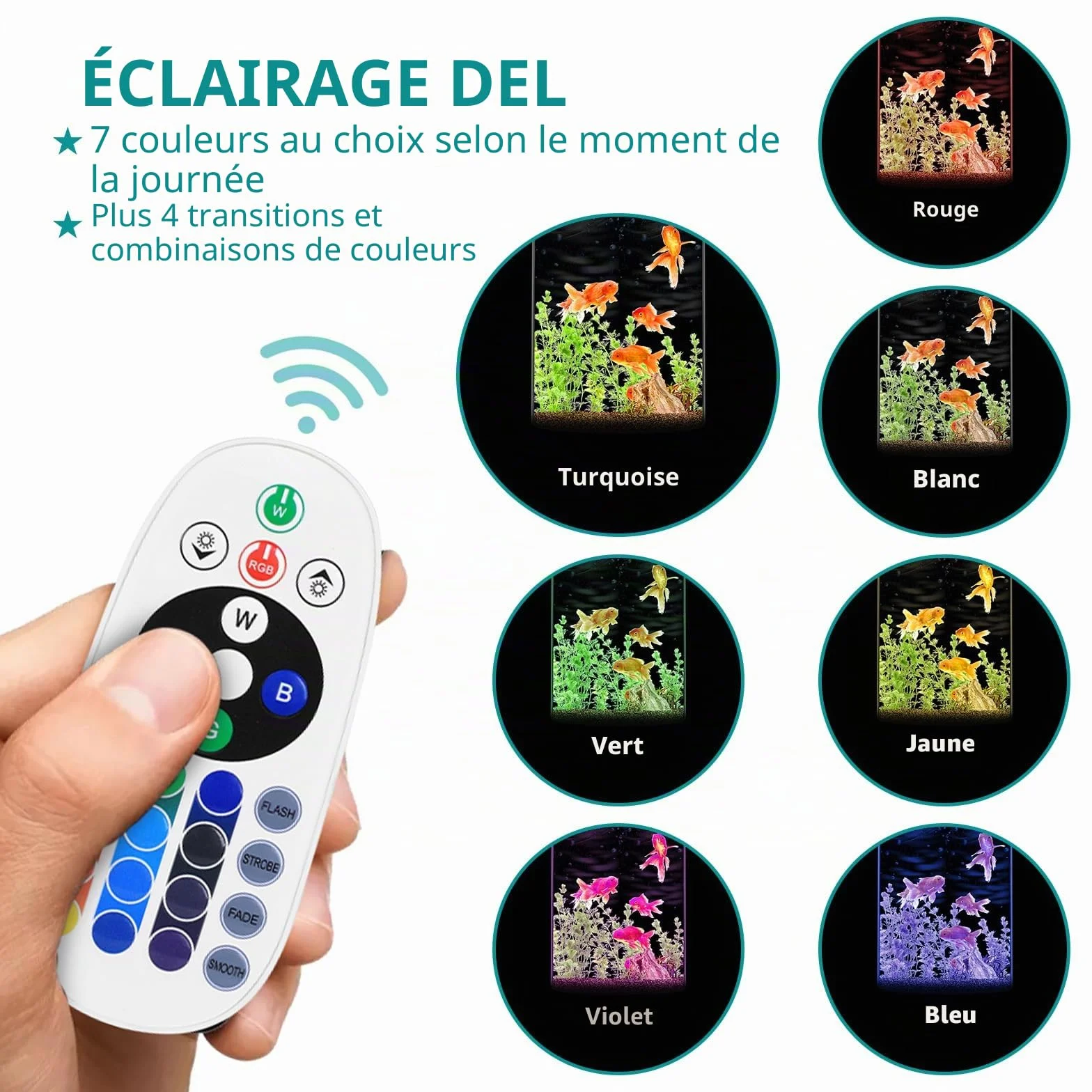 Veilleuse Zingbabu pour aquarium, lumière à spectre complet, filtre, blanc
