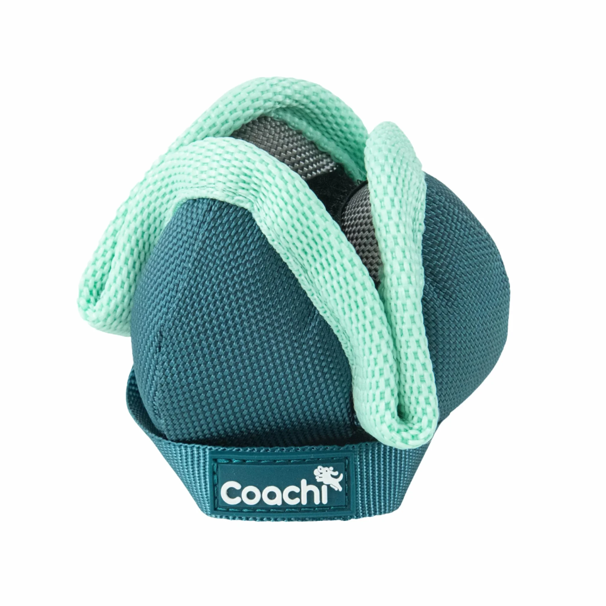 Coachi Chase & Treat pour Chiens et Chiots - Jeux de Poursuite, éducation à Distance et agilité