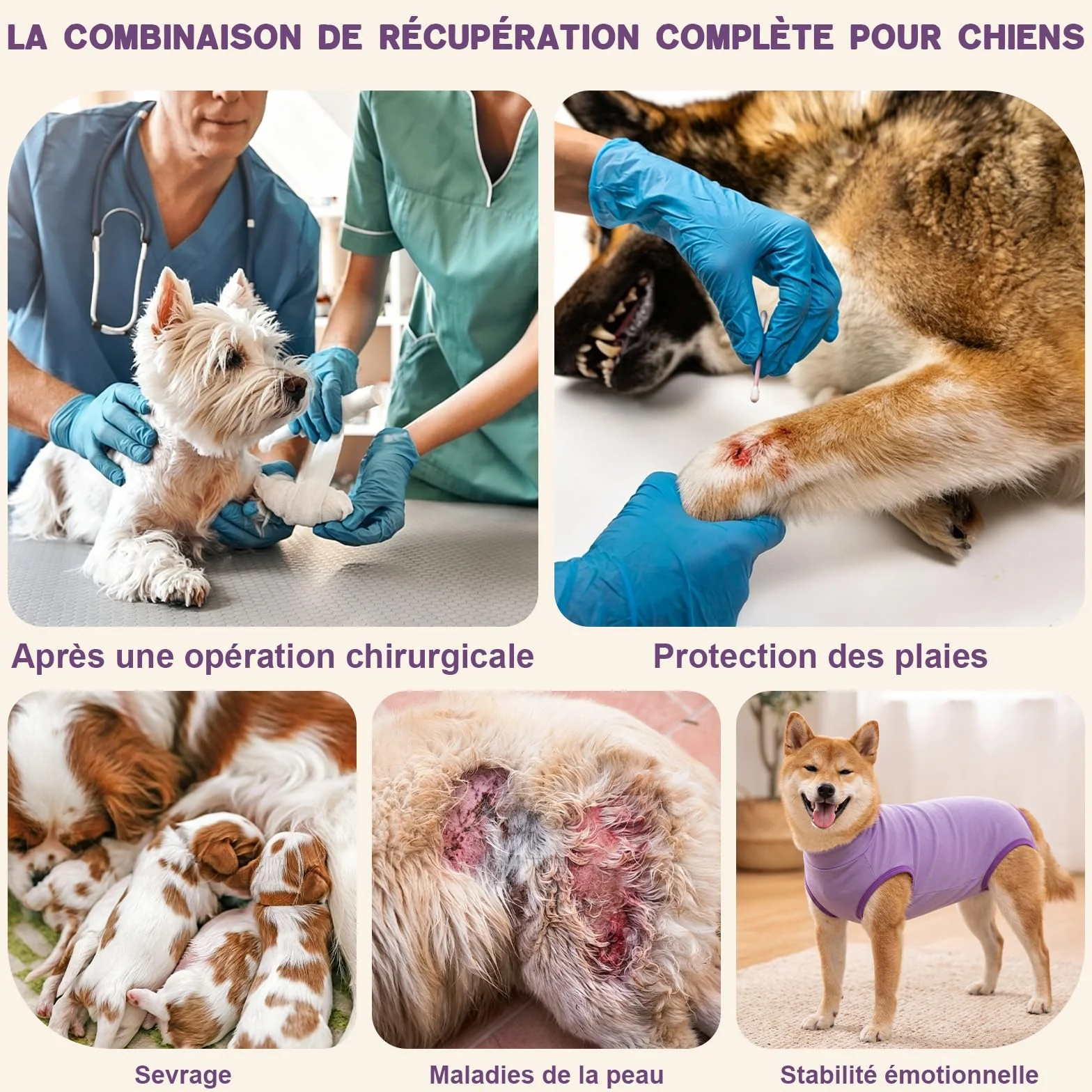 Combinaison de Récupération pour Chiens Chats Après Chirurgie, Body Post Operatoire pour Chien Femelle Male, Convalescence Chirurgicale pour Petite et Moyenne Taille