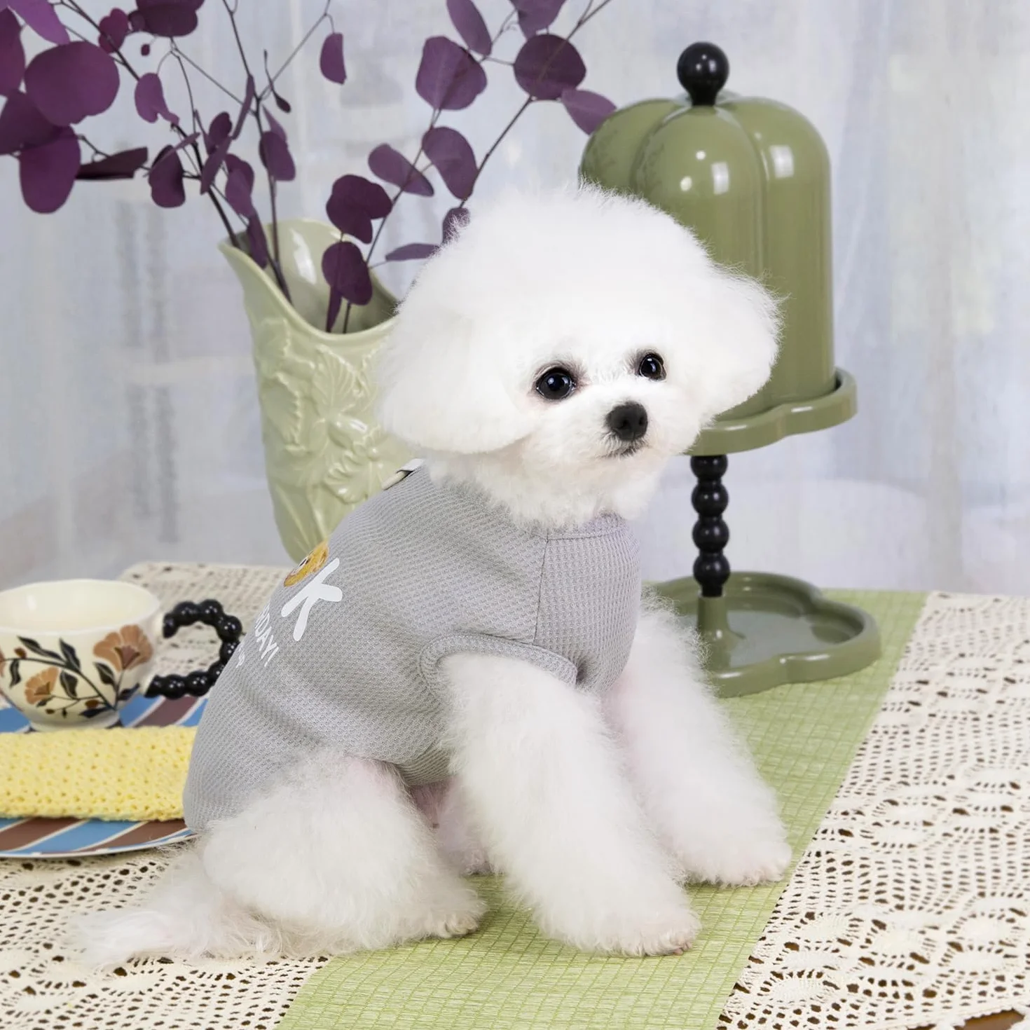 3 Pièces Chien Chemises Vêtements Respirant Livre Ours Gaufré Motif Cool Été Coton Débardeur Gilet T Shirt pour Petit Chiot Chat