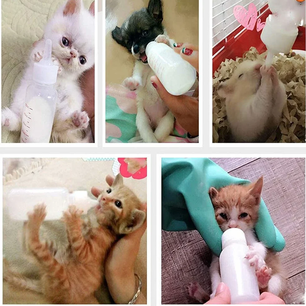 Kit Biberon pour Animaux 2 Pièces, Biberons d'allaitement pour Chaton et Chiot avec Brosse