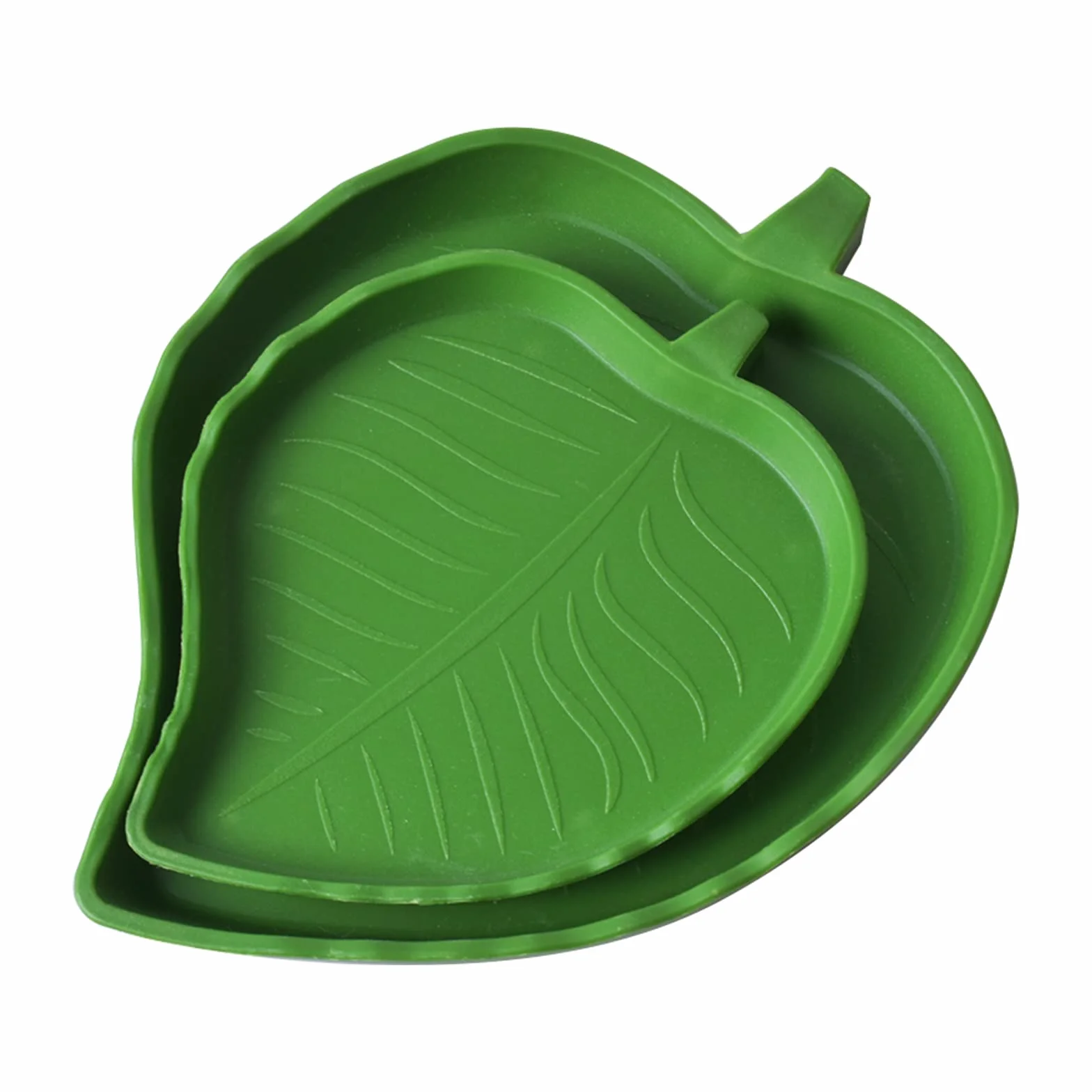Bol d'Eau et de Nourriture en Forme de Feuille pour Reptiles, Accessoire Tortue Terrestre, Abreuvoir Plat