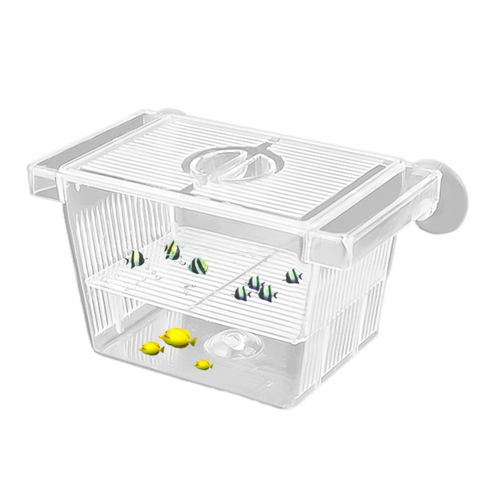 Boîte D'éclosion de Poissons Transparente avec 2 Ventouses, Boîte d'Isolation pour Poissons