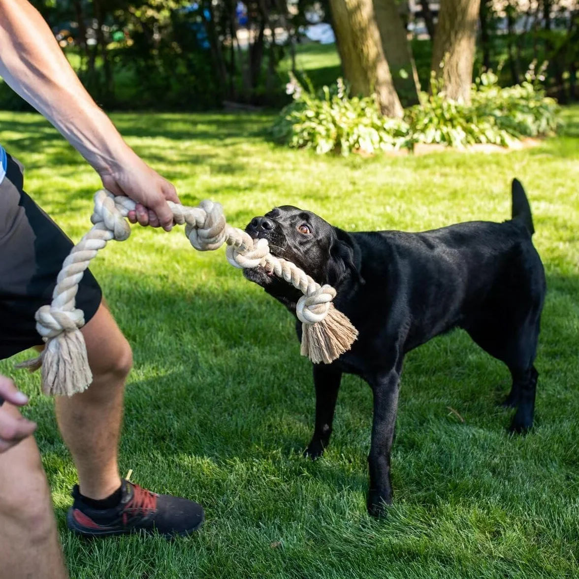 Fida Jouet en corde pour grands chiens 92 cm indestructible coton naturel