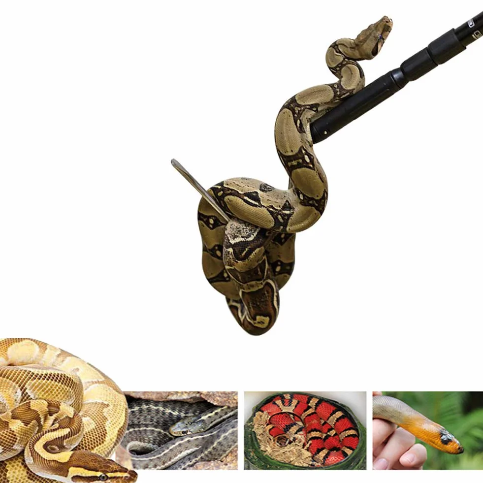 Professional Snake Hook Reptile Grabber Rattle Snake Catcher Extensible 135cm 53 inch