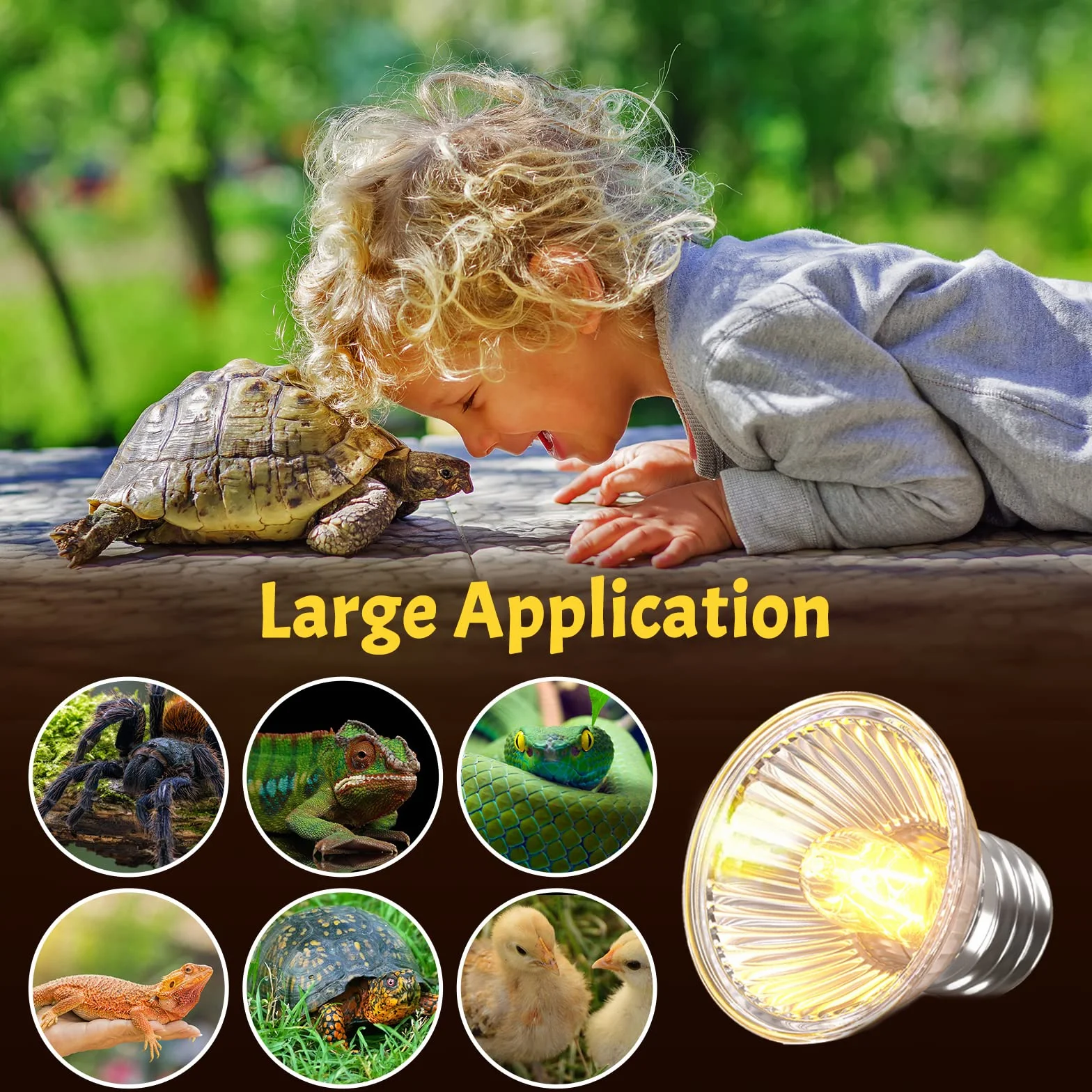 Bonlux E27 Ampoule Chauffante 50W Reptile Lampe UVA UVB 220-240V (4pcs)