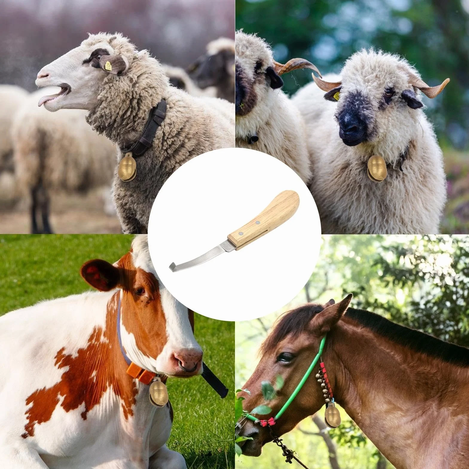 Ciseaux à sabots de chèvre coupe-ongles acier inoxydable tondeuse à sabots manche en bois pour chevaux moutons chèvres vaches