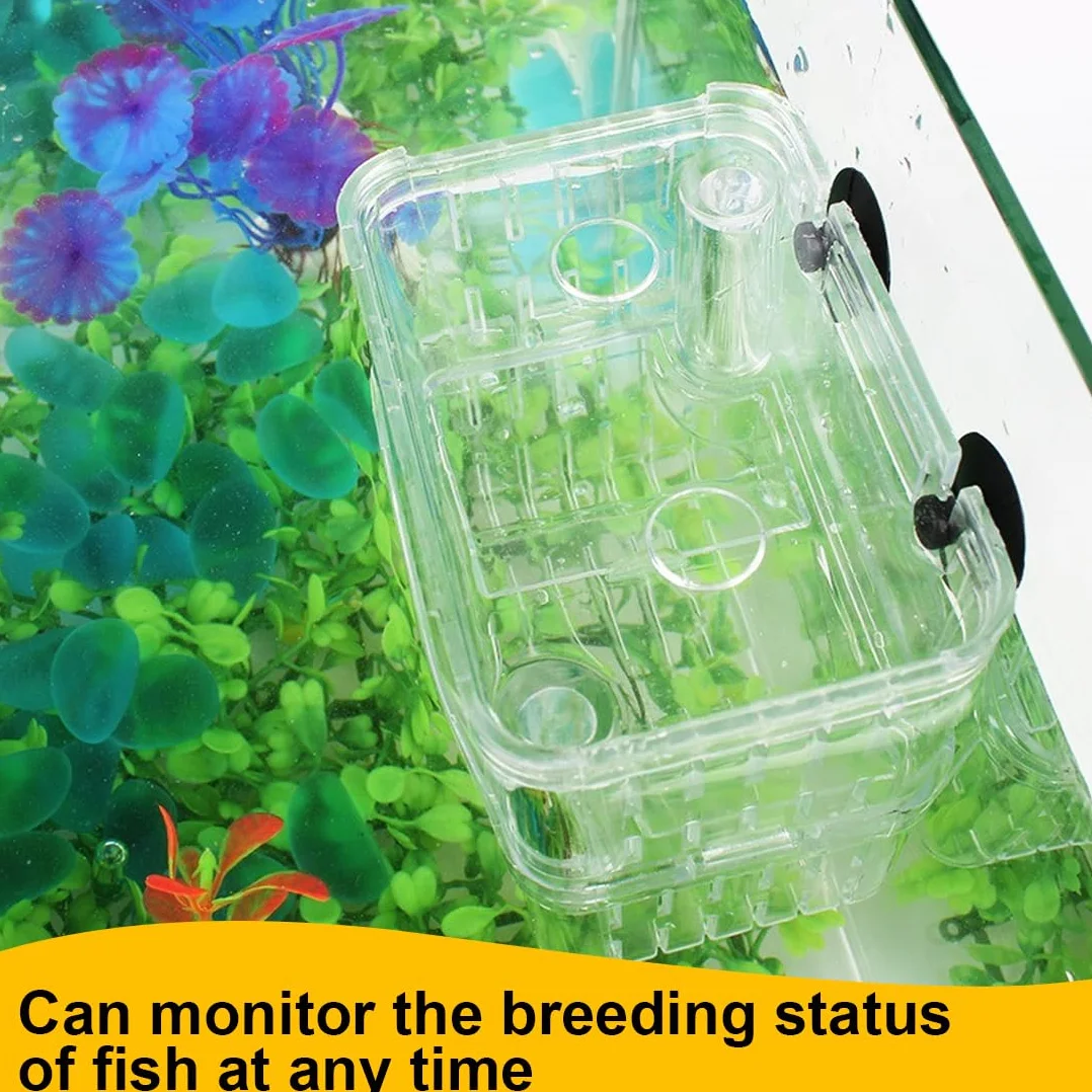Boîte d'Élevage pour Aquarium avec Compartiment Isolant - Mini Aquarium Bebe Pondoir pour Poissons