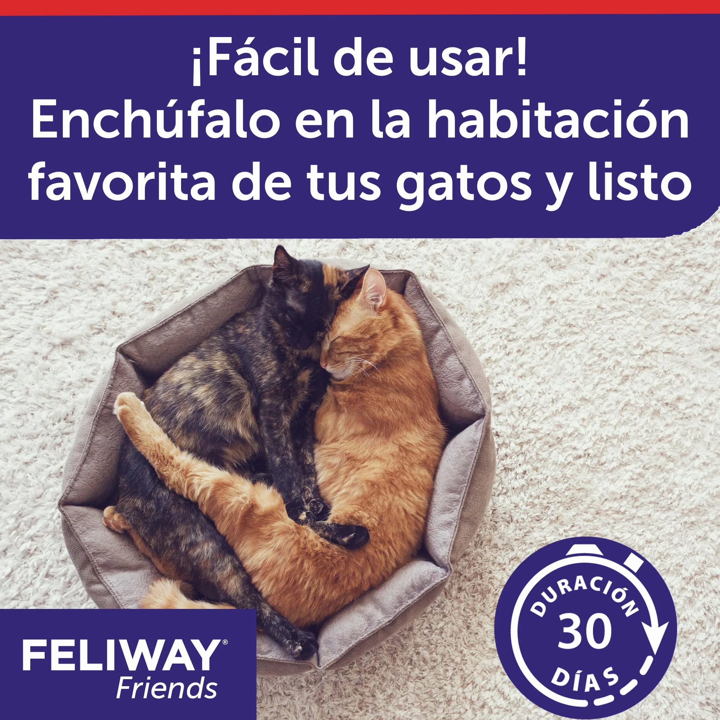 FELIWAY Friends Pack 3 Recharges Réduit Conflits Tensions Bagarres Chats Scientifiquement Prouvé 3x30 Jours