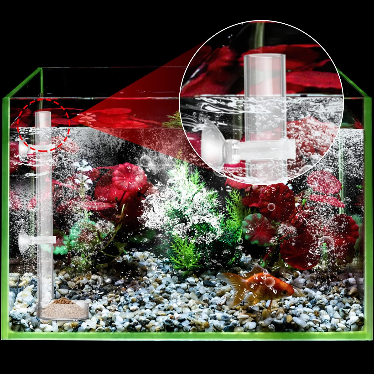 cobee Mangeoire à crevettes en acrylique, mangeoire à crevettes transparente et durable pour poissons d'aquarium - tube de 25 cm et bol d'alimentation de 6,5 cm