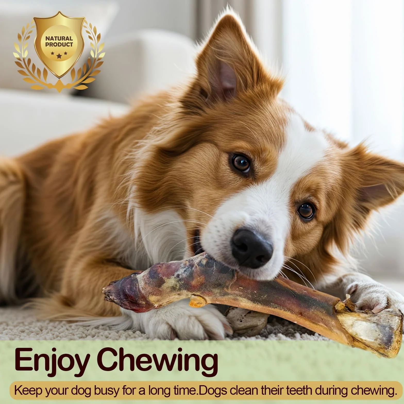 Natural Hoof Beef Bone Treats 200g Friandises pour Chiens en Sabots de Bœuf Séchés à l’Air