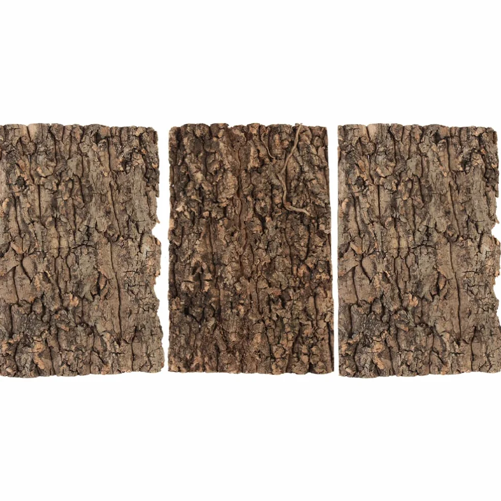 Alipis Lot De 3 Écorces d'arbre Naturelles 12X8 Pouces pour Terrarium Reptiles Lézards Araignées Hamsters Décor d'escalade Et Repos Réaliste