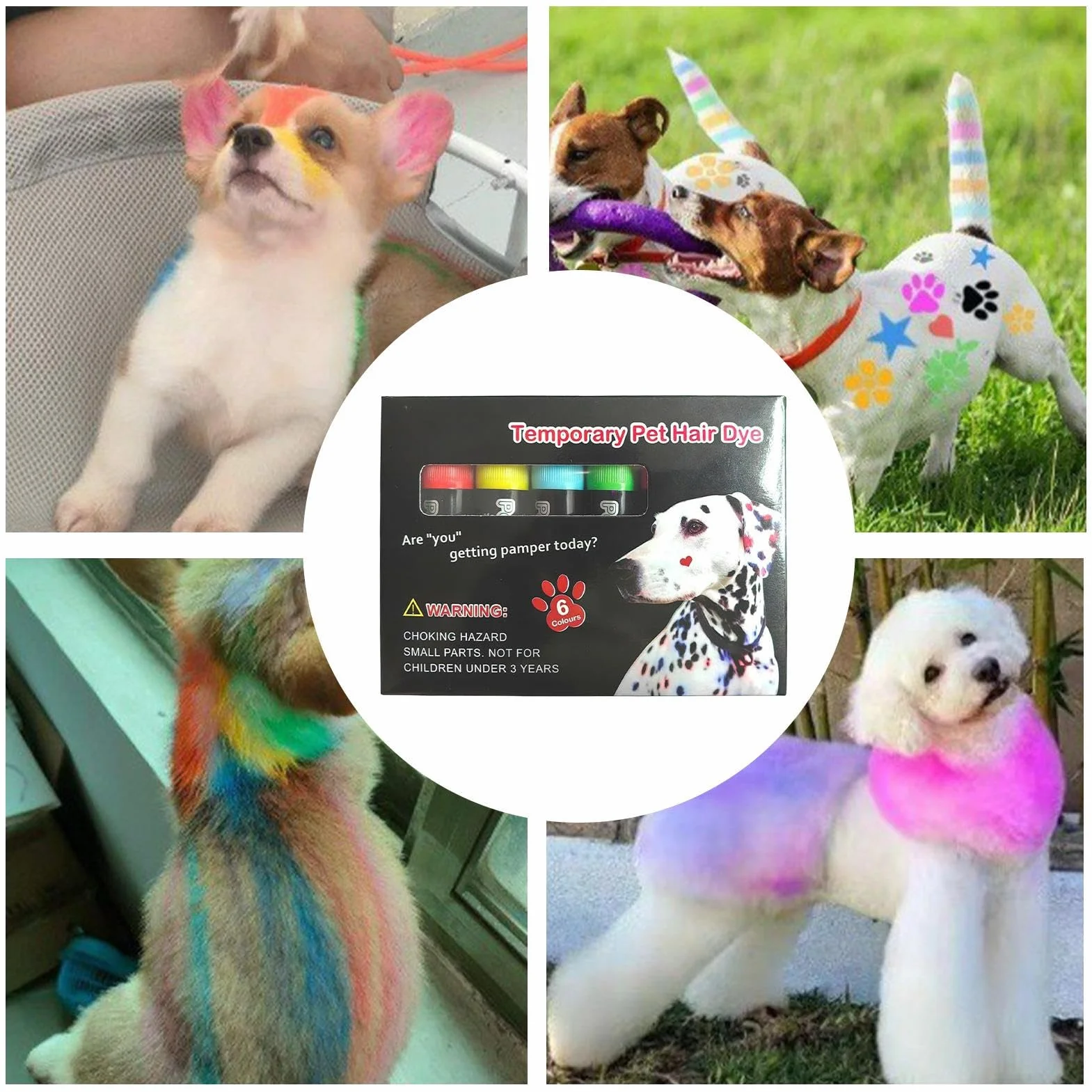 Marqueur de peinture lavable pour animaux de compagnie | Teinture temporaire non toxique pour chiens, chats, chevaux et bétail