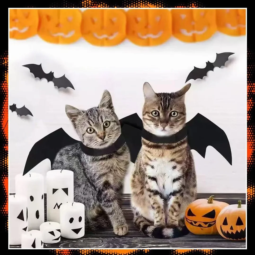 Costume d'Halloween pour Chat avec Ailes de Chauve-Souris