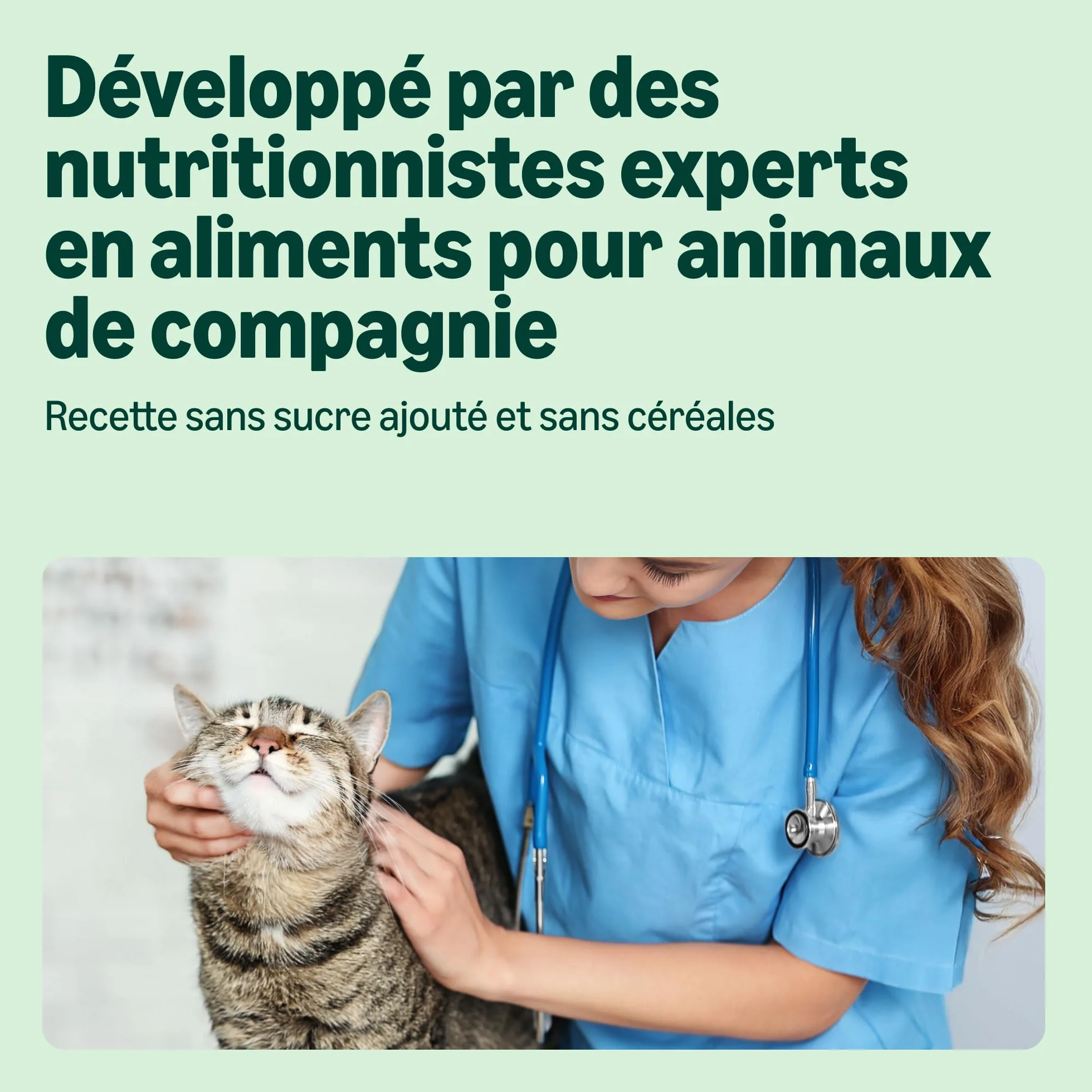 Amazon Nourriture humide pour chat sans céréales, pâté de poulet, 6 x 400 g