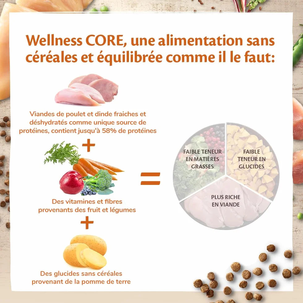 Wellness CORE Original Stérilisé Croquettes pour Chats Stérilisés sans Céréales 4 kg Poulet Dinde