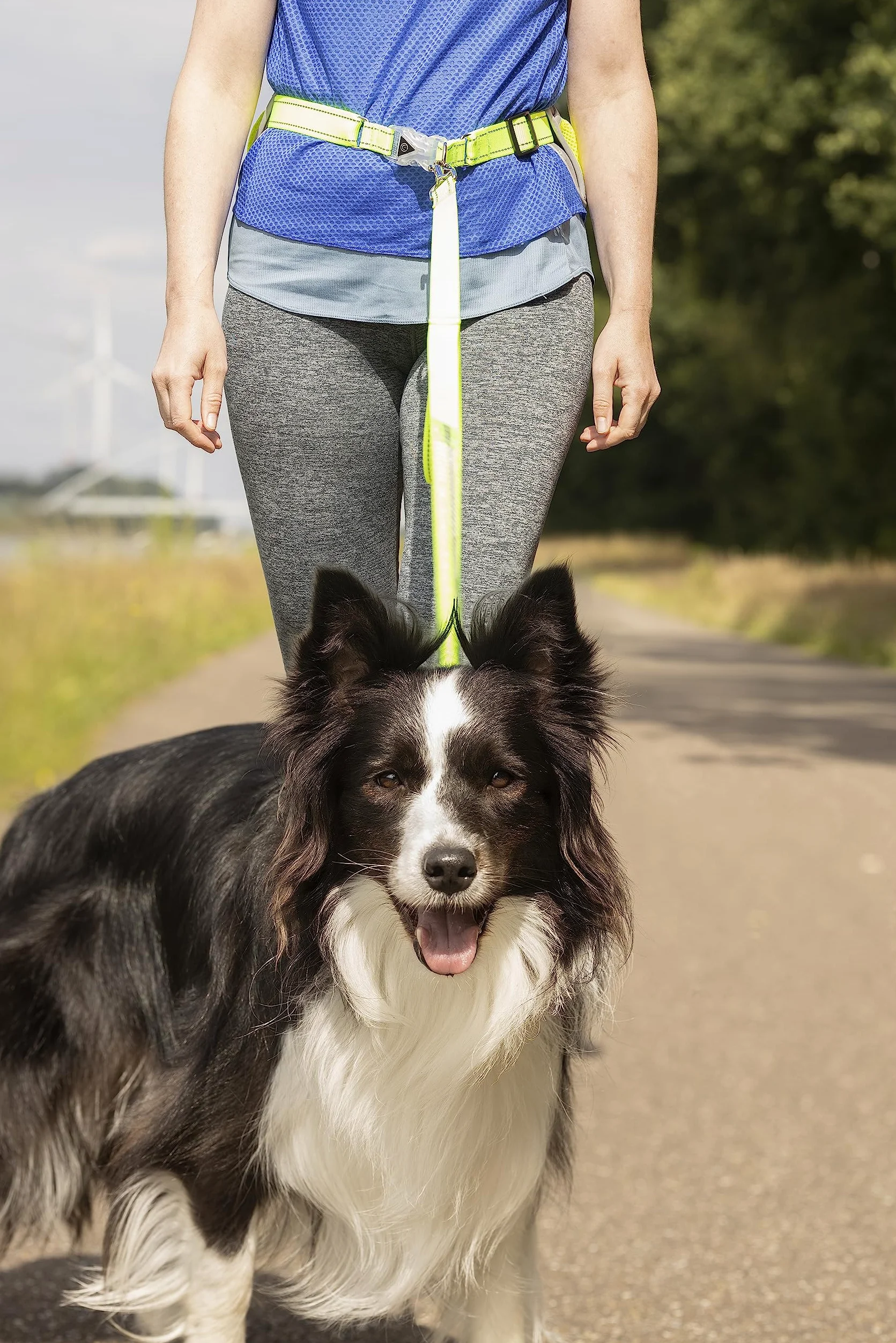 Laisse réfléchissante pour Chien Mains Libres - Laisse 118cm Centure 80-140cm - Chien de Course - Ceinture Réglable pour la Marche - Le Jogging - lumière LED et Bande LED arrière Rechargeable