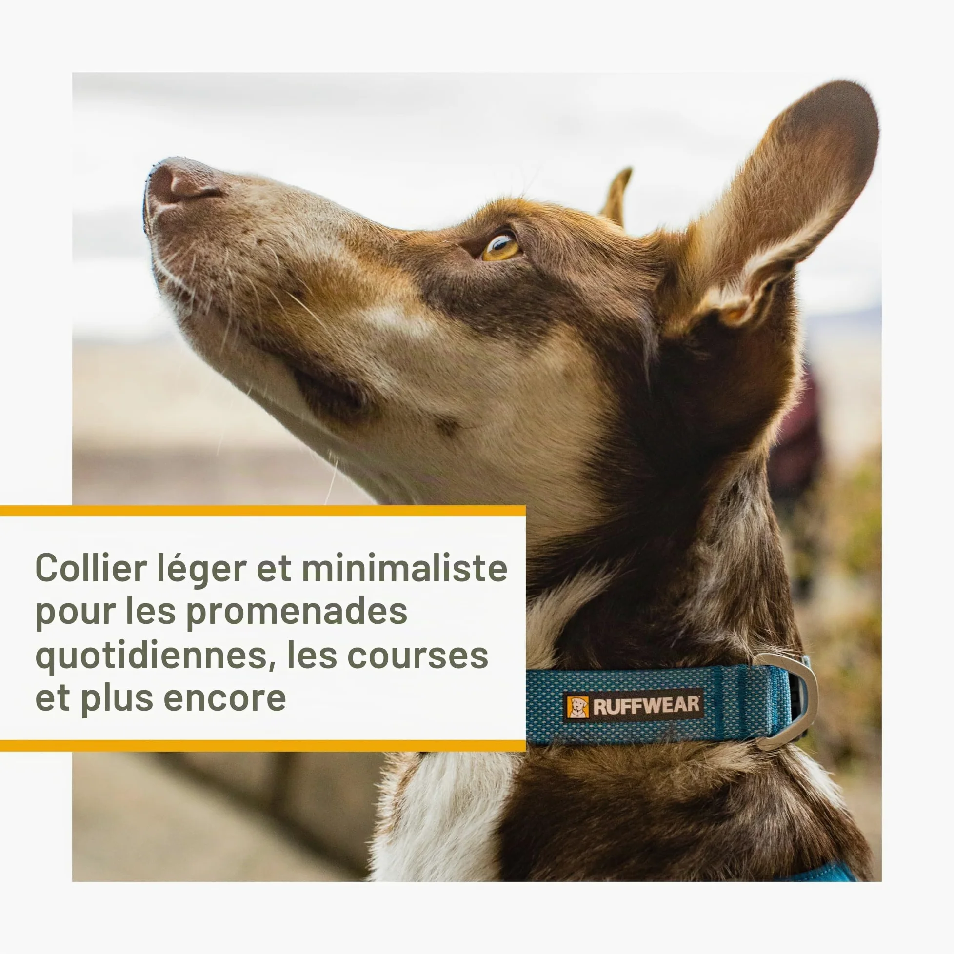 RUFFWEAR Collier pour Chien Hi & Light, Ultra Solide et léger, Anneau de Fixation de la Laisse en Aluminium et Boucle à Ouverture latérale, Accessoire élégant pour Le Cou, Basalt Grey 14"-20"