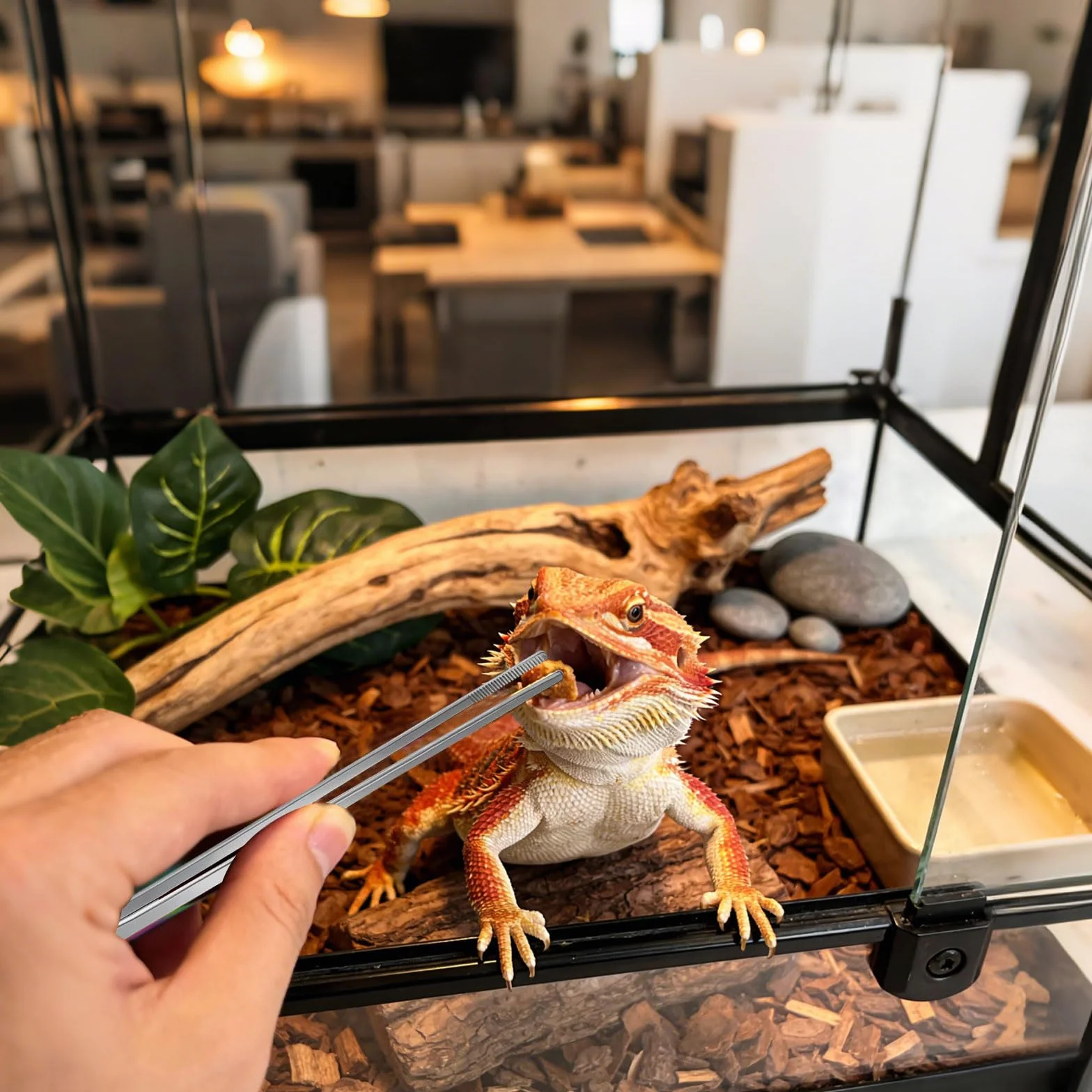 Pinces d'alimentation pour Reptiles 27 cm Pince Aquarium Protège Les Doigts Brucelle Argent