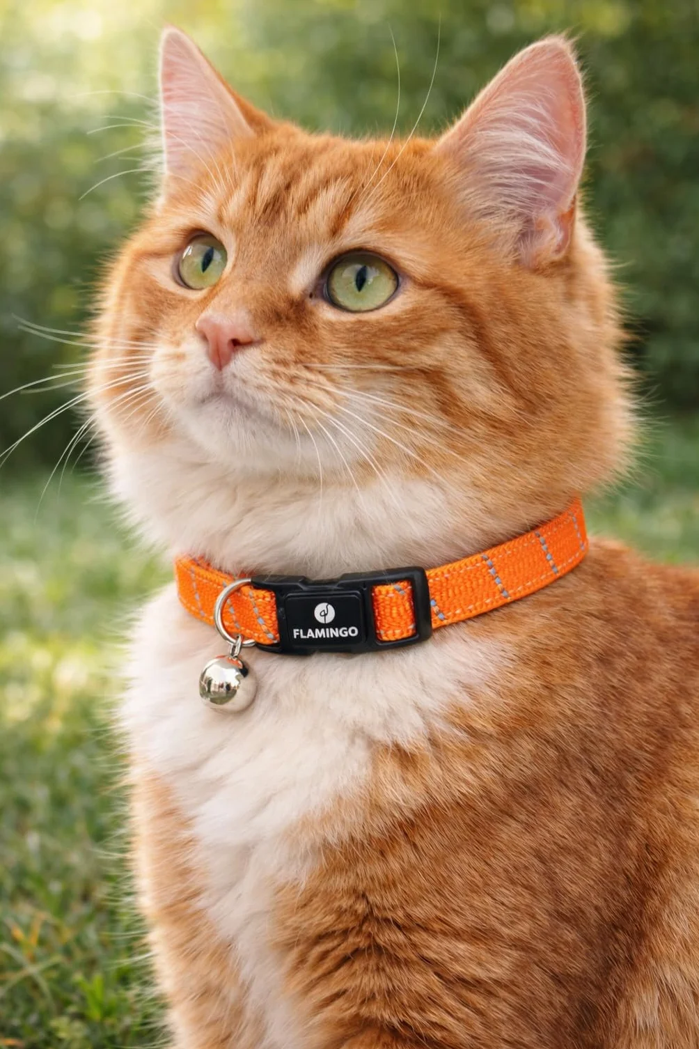 Collier Chat Elza Orange 20-34 cm Nylon élastique réfléchissant avec Clochette