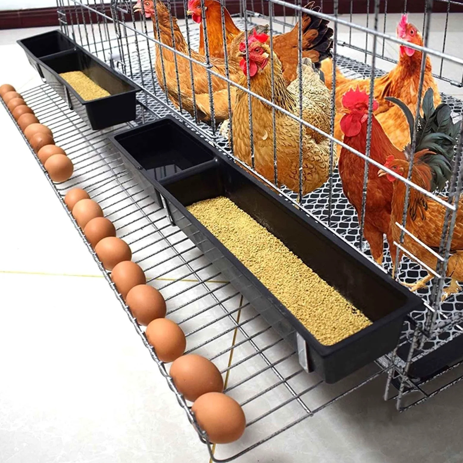 Cage à volaille pliable avec bac à ordures et récupérateur d'œufs, cages à poulet extérieur/intérieur, cage à poussins domestique, parc pour petits animaux avec serrure de porte (6 tailles) (couleur :