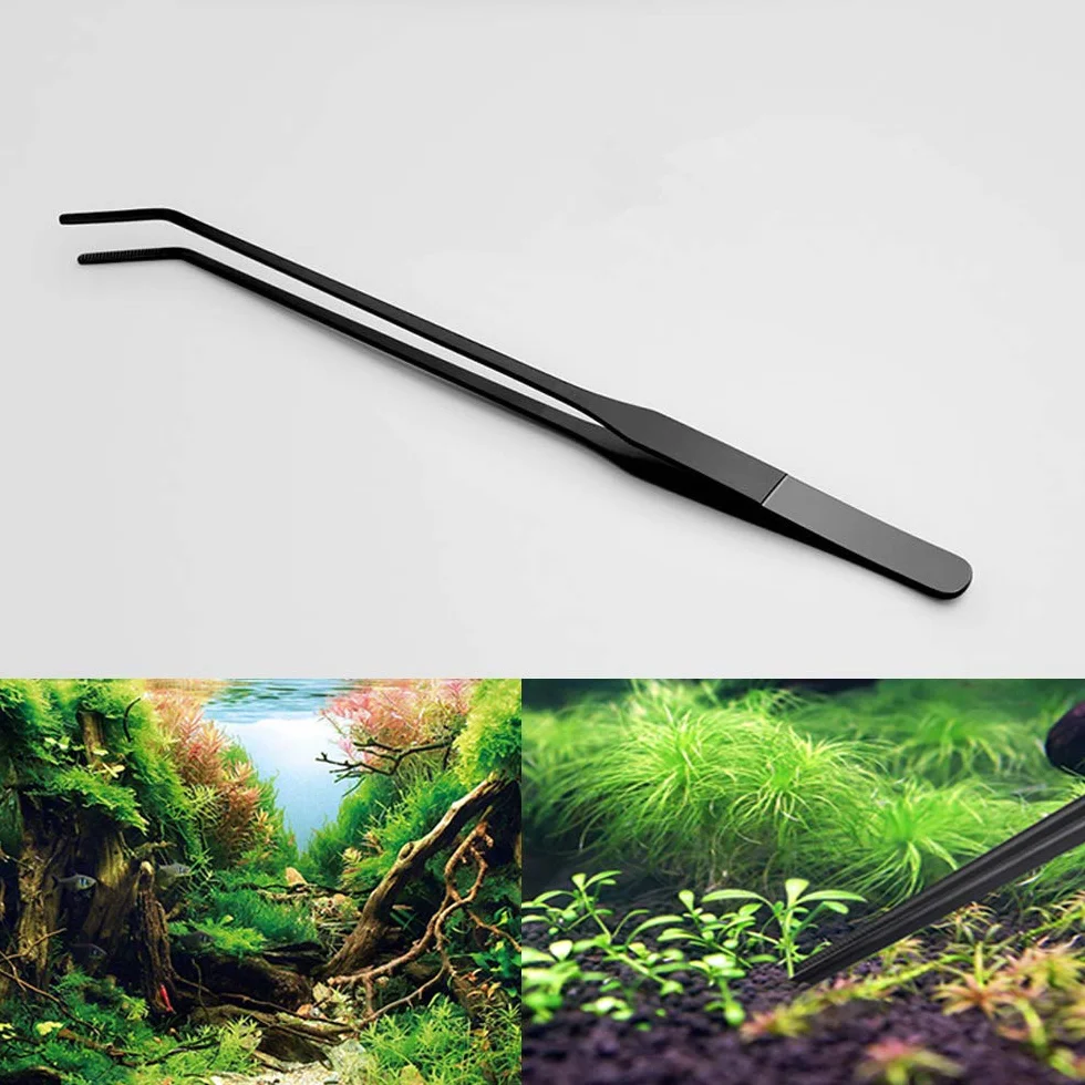 Pince à épiler incurvée acier inoxydable 38,1 cm pour aquarium alimentation reptiles