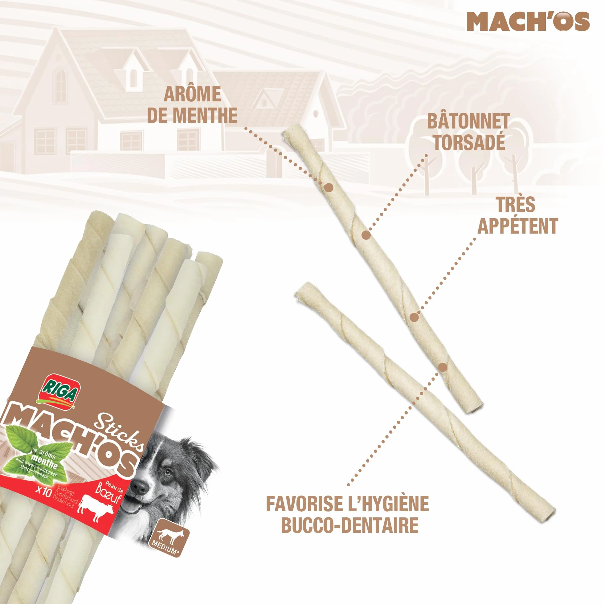 RIGA - Mach'os - Bâtonnet Torsadé Blanc - Friandise Chien - A La Menthe - Peau De Buffle - Riche en Protéines - Hygiène Buccale - Mastication Et Récompense - pour Moyen Chien - x 10