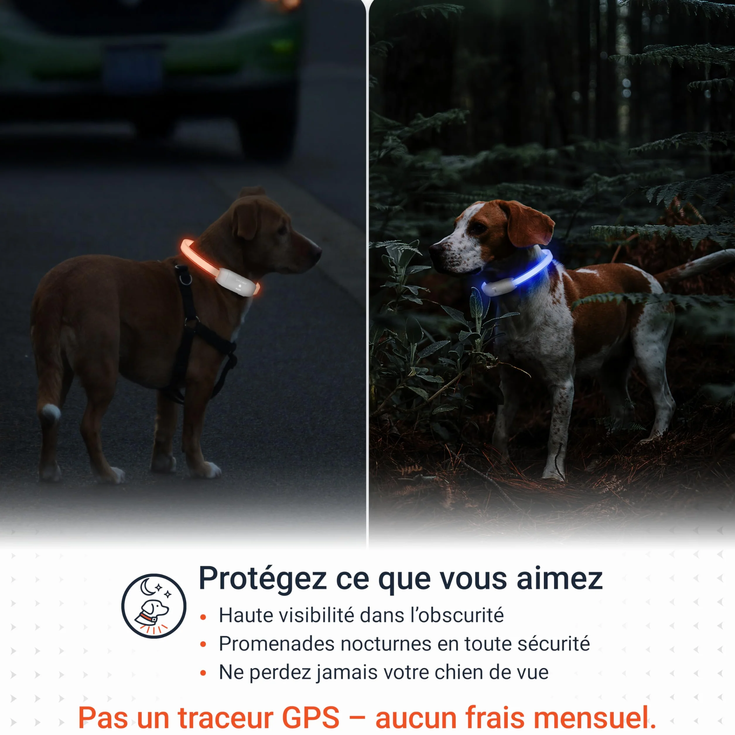 PAJ Light LED Collar Collier Lumineux Chien Longueur Personnalisable 20-70cm 100% étanche 7 Couleurs Nuit