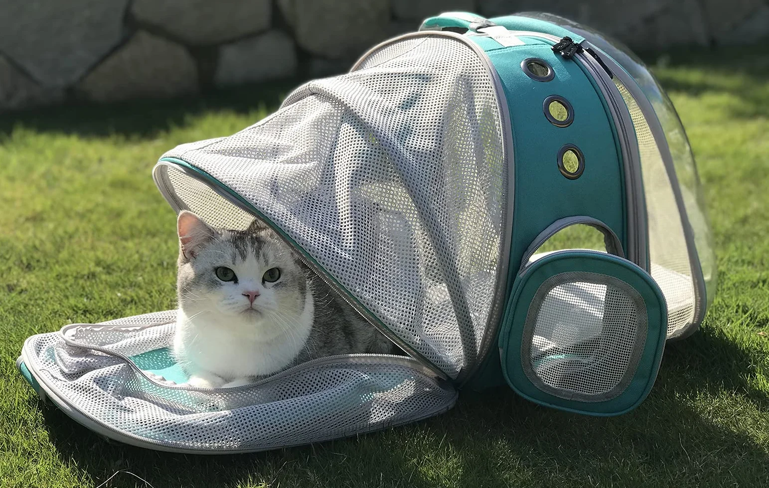 Sac à Dos pour Chat Interfashioner® Extensible Double Transport jusqu'à 9 kg