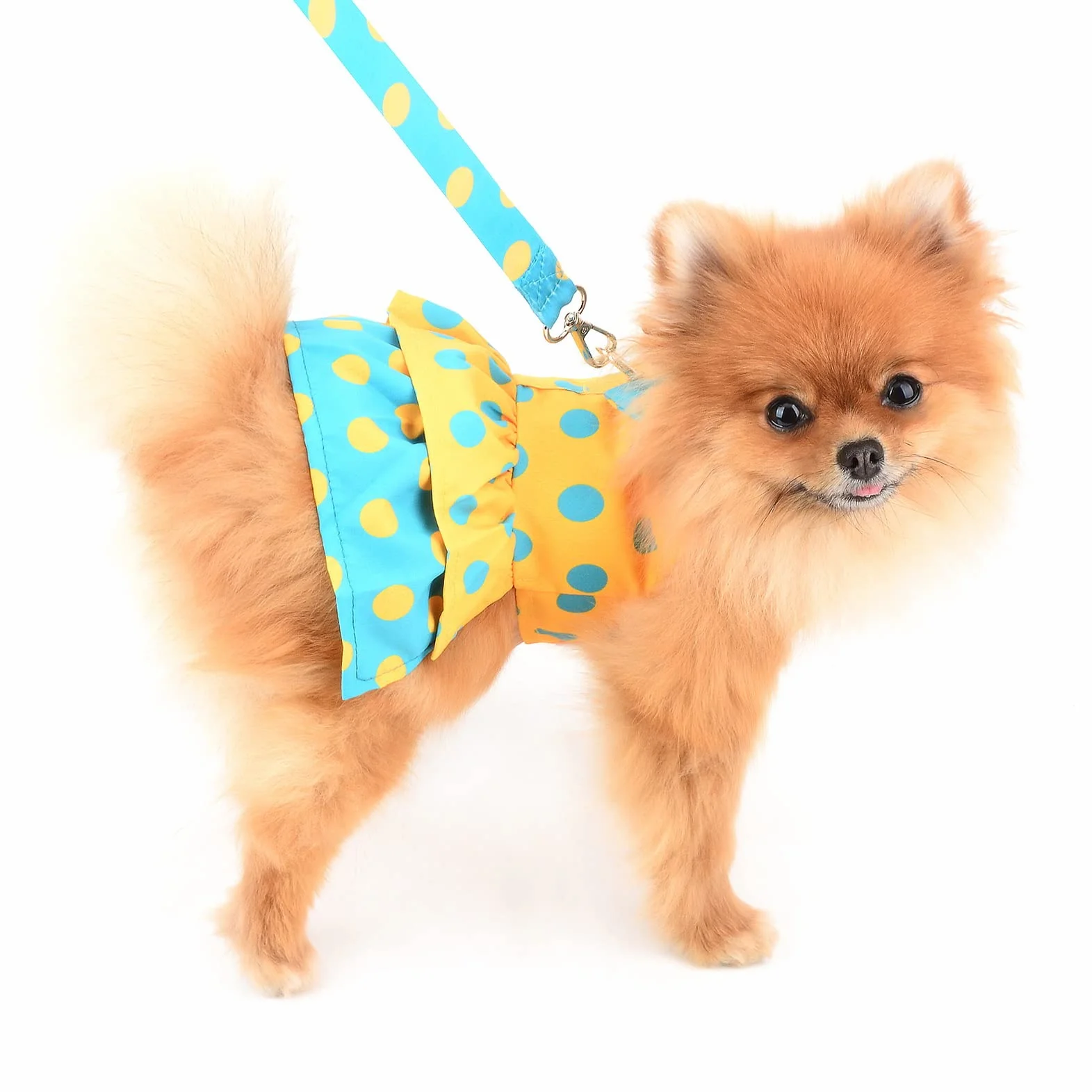 Robe Harnais pour Chien avec Laisse et Nœud - Anneau en D - Vêtements d'été - Pois Jaunes - Taille M
