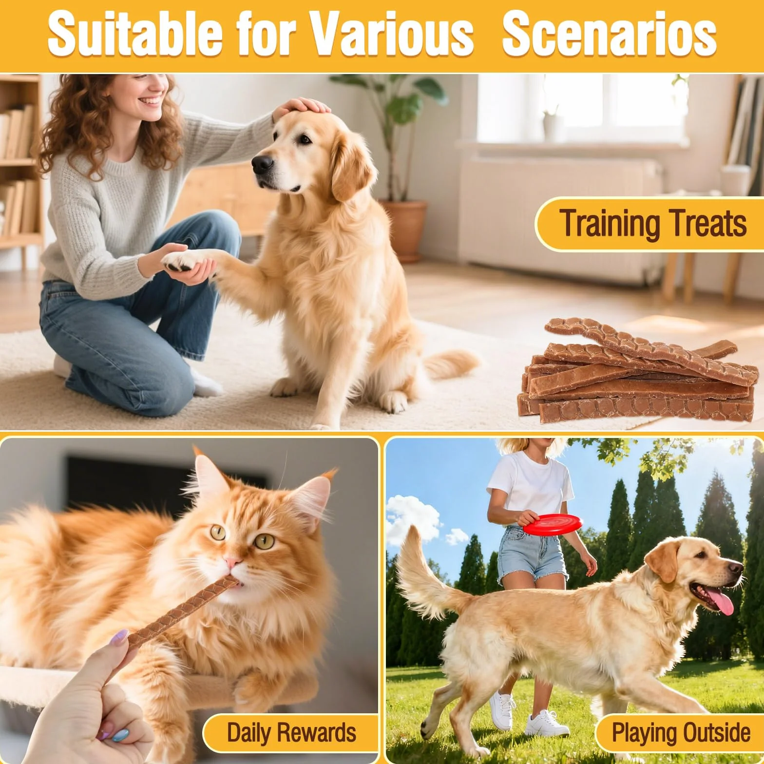 Friandises pour Chien Saumon Séché Lamelles Tendres Snacks sains à mâcher Riche en Protéines Faible en Gras 100g